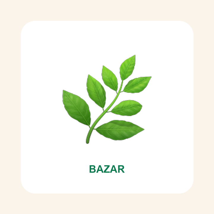 Incienso Salvia Blanca